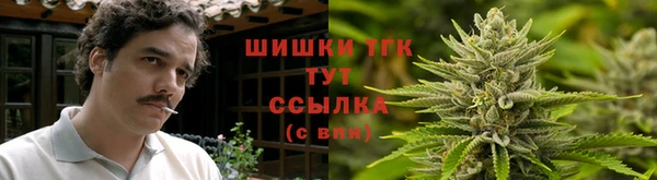 шишки Кукмор