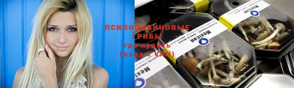 мдпв Зеленодольск