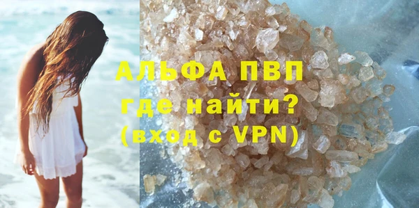 стафф Касимов