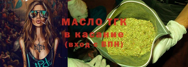 сатива Кулебаки