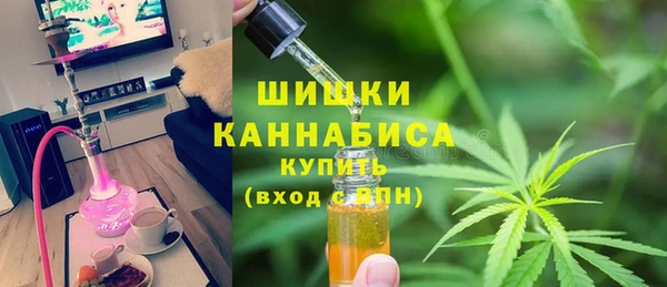эйфоретик Иннополис