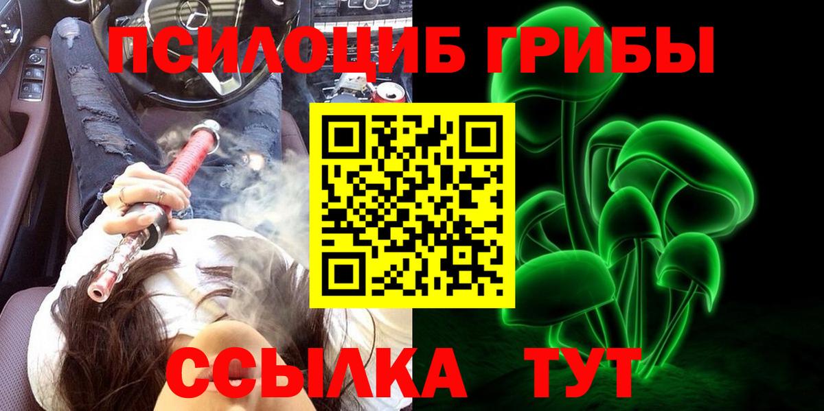 Псилоцибиновые грибы MAGIC MUSHROOMS Домодедово